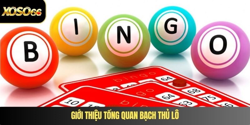 Giới thiệu tổng quan bạch thủ lô
