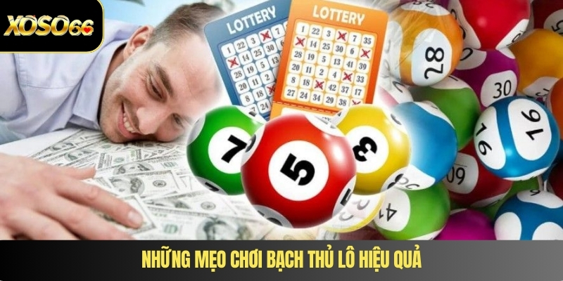 Những mẹo chơi bạch thủ lô hiệu quả