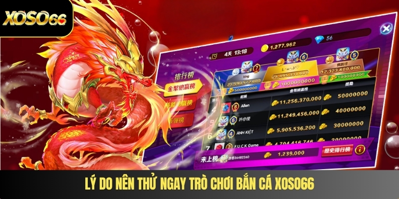Lý do nên thử ngay trò chơi bắn cá XOSO66