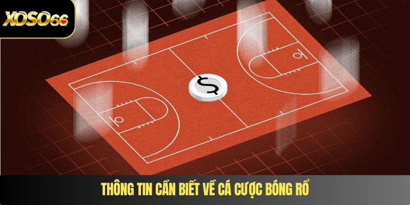 Thông tin cần biết về cá cược bóng rổ