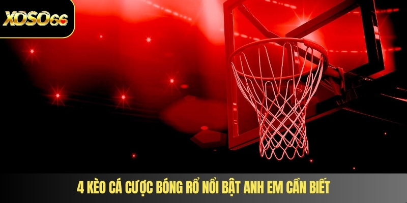 4 kèo cá cược bóng rổ nổi bật anh em cần biết