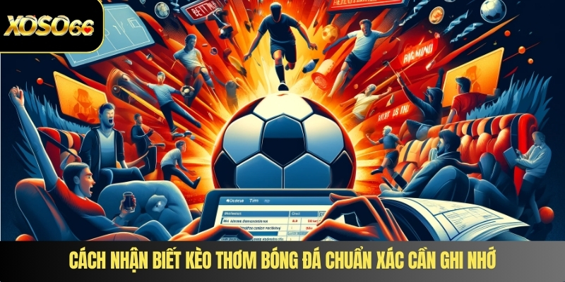 Cách nhận biết kèo thơm bóng đá chuẩn xác cần ghi nhớ