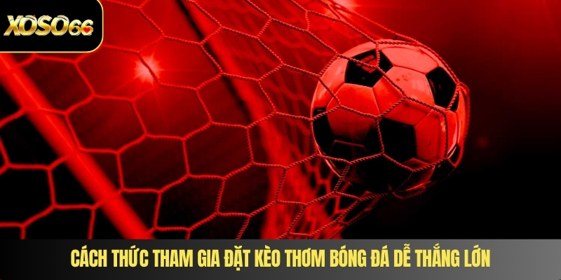 Cách thức tham gia đặt kèo thơm bóng đá dễ thắng lớn