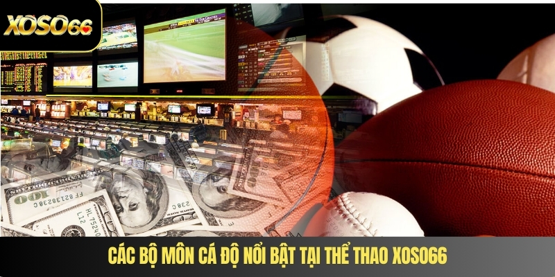 Các bộ môn cá độ nổi bật tại thể thao XOSO66