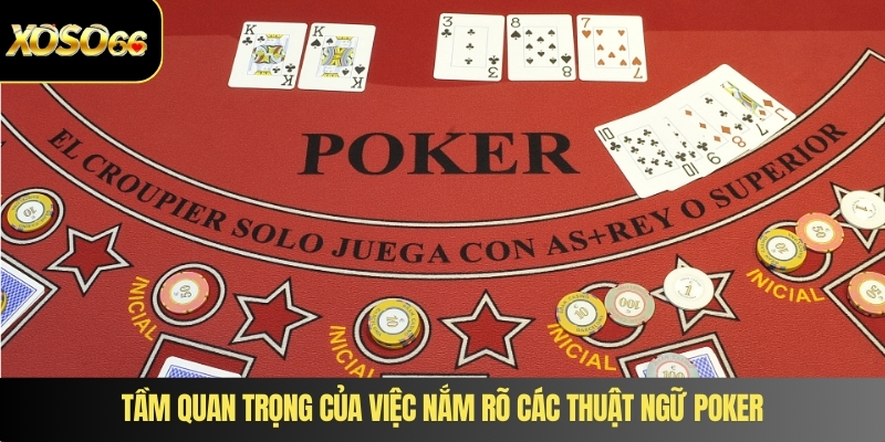 Tầm quan trọng của việc nắm rõ các thuật ngữ poker
