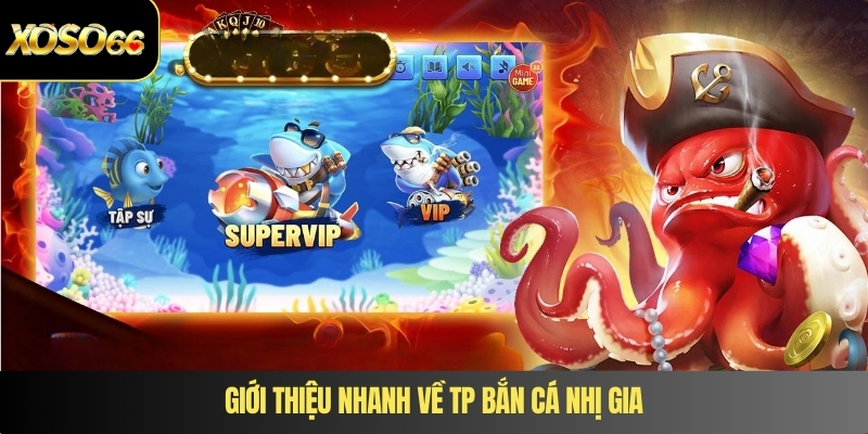 Giới thiệu nhanh về tp bắn cá nhị gia